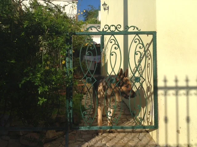Portão Decorativo